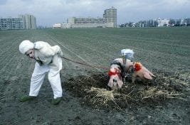 10088060866_d6b62312f0