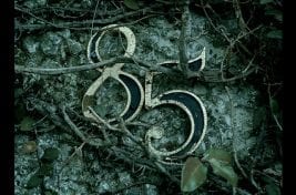 10088125706_27276311d9