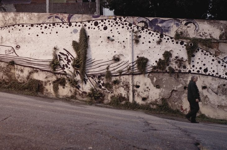 22052231242_f79035ba99_k[1]