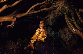 ART_O passaro da noite