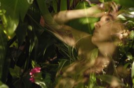 vergel foto baniadera