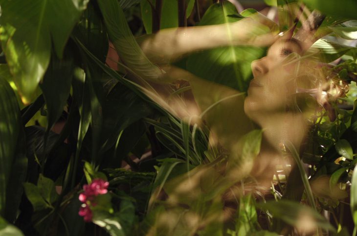 vergel foto baniadera