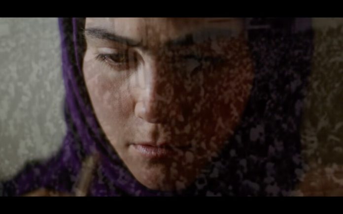 50420948642_ded2dd75f4_c