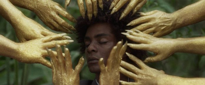 50431710078_3124f49b51_c