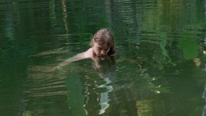 50432338908_209d7e3a3f_c